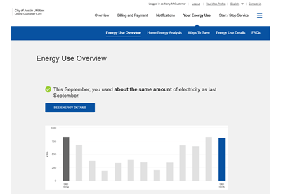 Example of City of Austin Utilities Energy Use Infographic